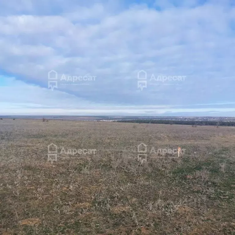 Участок в Волгоградская область, Дубовский район, Пичужинское с/пос, ... - Фото 1