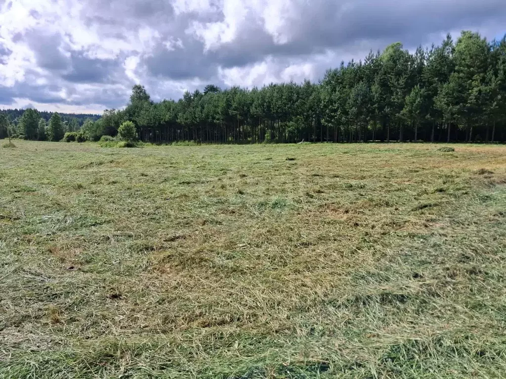 Участок в Ленинградская область, Выборгский район, Советское городское ... - Фото 1