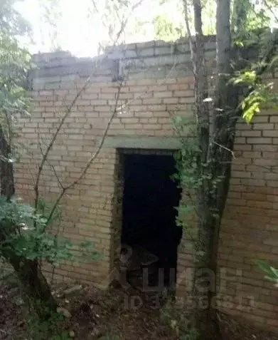 Помещение свободного назначения в Смоленская область, с. Темкино ул. ... - Фото 2