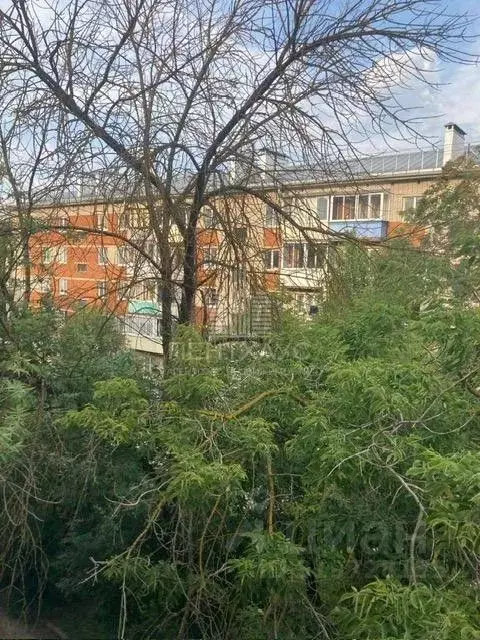 2-к кв. Владимирская область, Владимир ул. Доватора, 2 (37.6 м) - Фото 1