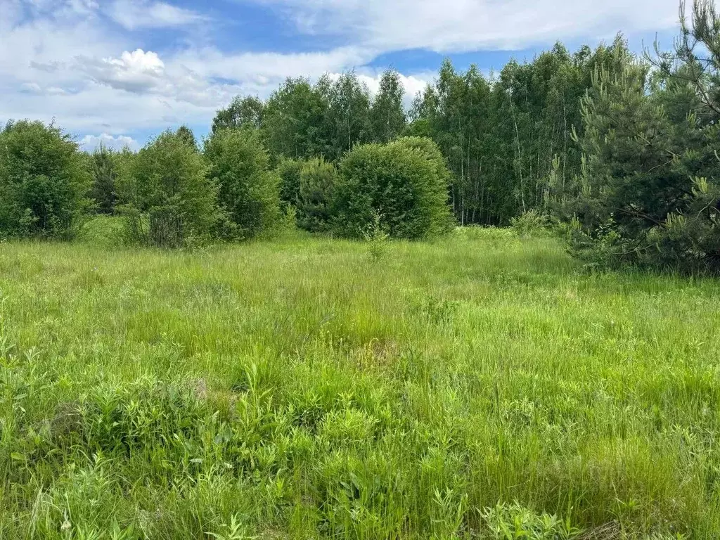 Участок в Московская область, Богородский городской округ, д. Пашуково ... - Фото 1