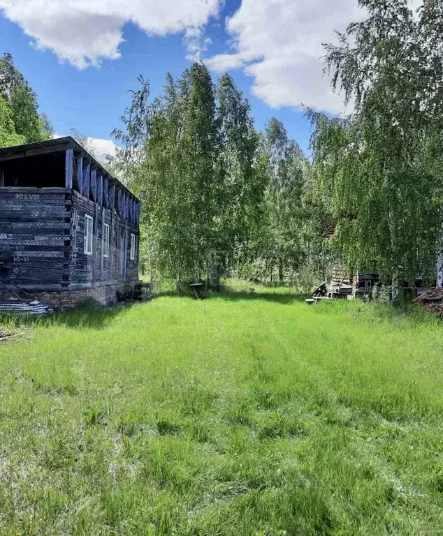 Участок в Тюменская область, Омутинский муниципальный округ, д. ... - Фото 1
