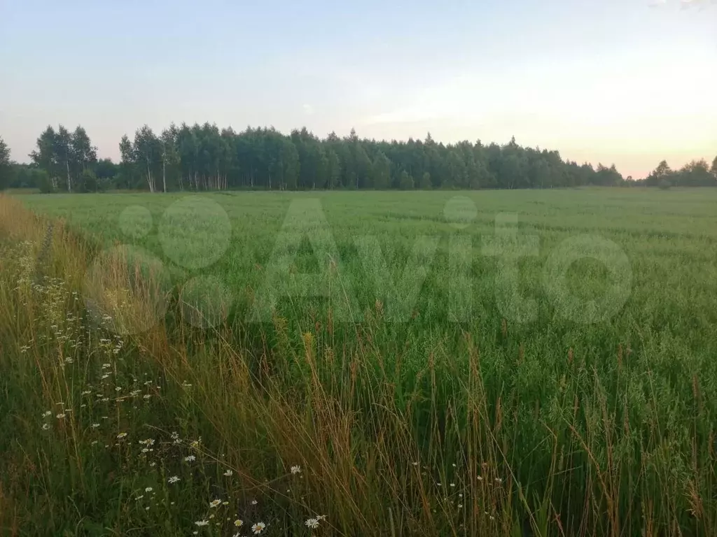 Калужская область тарусский село волковское