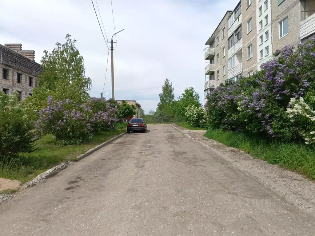 1-к кв. Псковская область, Остров Строитель мкр, 18 (37.6 м) - Фото 1