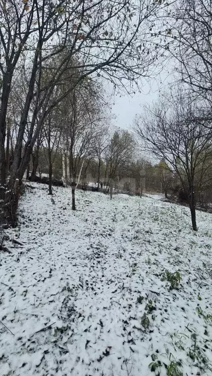 Участок в Алтай, Горно-Алтайск Строитель СНТ, 211 (6.0 сот.) - Фото 1