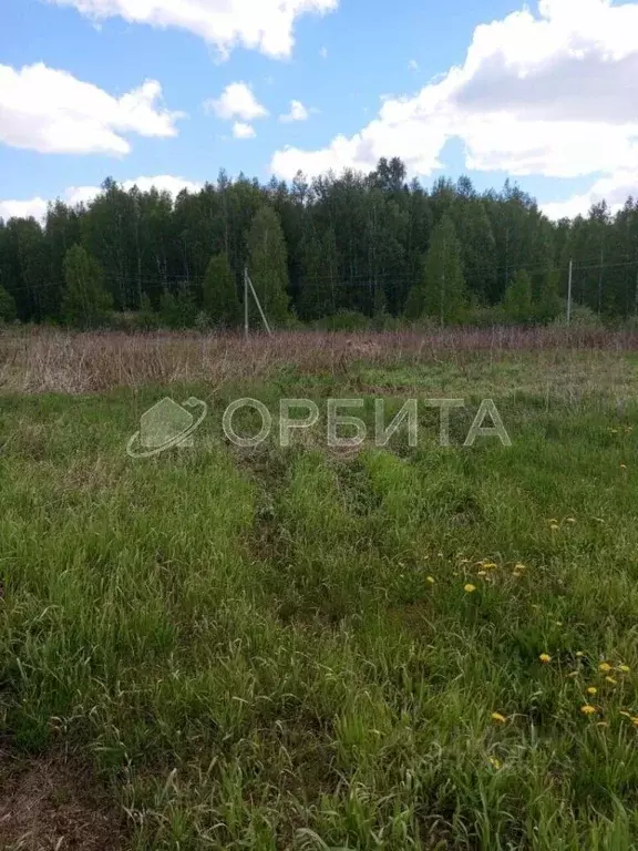 Участок в Тюменская область, Нижнетавдинский район, Нерда СНТ  (8.5 ... - Фото 1