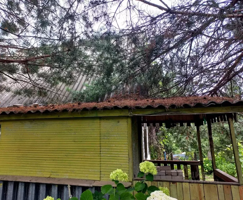 Участок в Саратовская область, д. Долгий Буерак, Новь СНТ 64 (5.12 ... - Фото 2