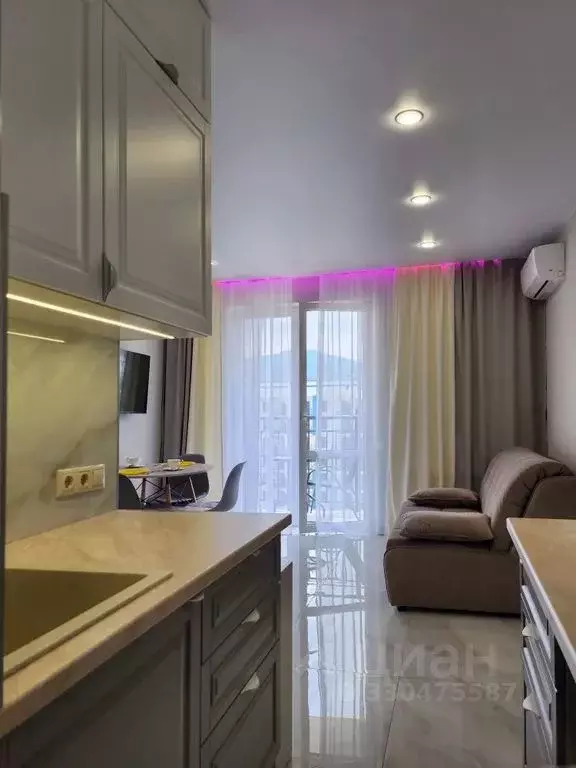 Студия Краснодарский край, Сочи ул. Искры, 88 (29.0 м) - Фото 1
