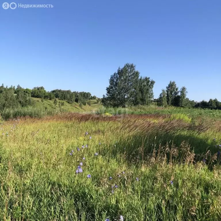 Участок в Брянский район, Глинищевское сельское поселение, село ... - Фото 0