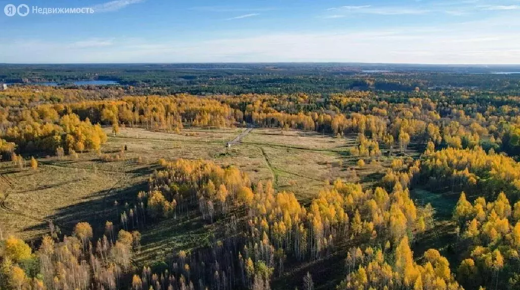 Участок в Куйвозовское сельское поселение, КП Карелин парк (9.73 м) - Фото 1