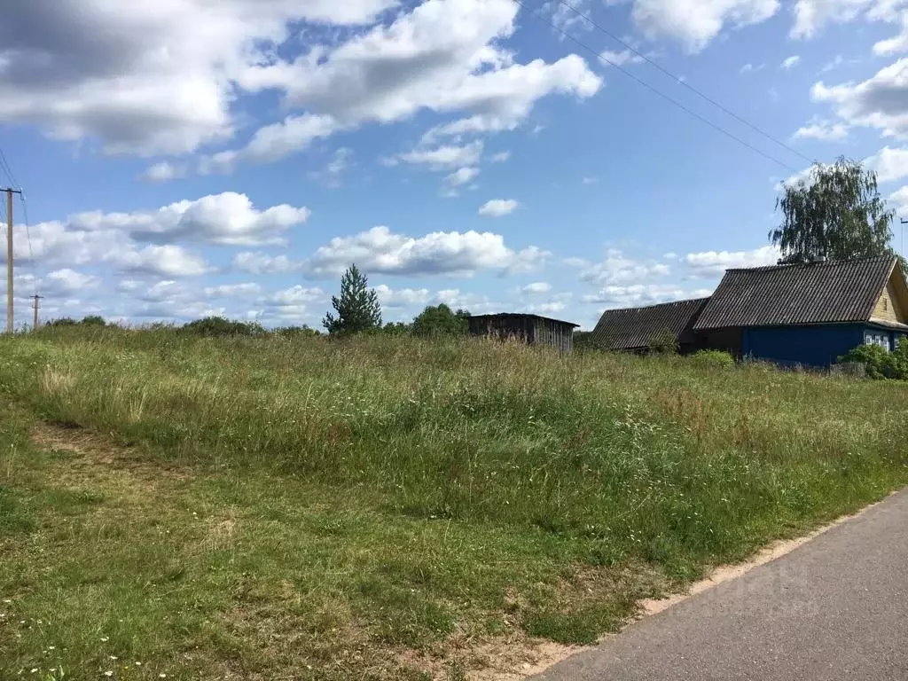 участок в новгородская область, маловишерский район, бургинское с/пос, . - Фото 1