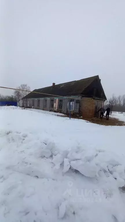 Офис в Курская область, Фатежский район, Верхнелюбажский сельсовет, с. ... - Фото 2