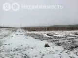 Участок в Тюменский район, село Кулига, Заречная улица (6.83 м) - Фото 0