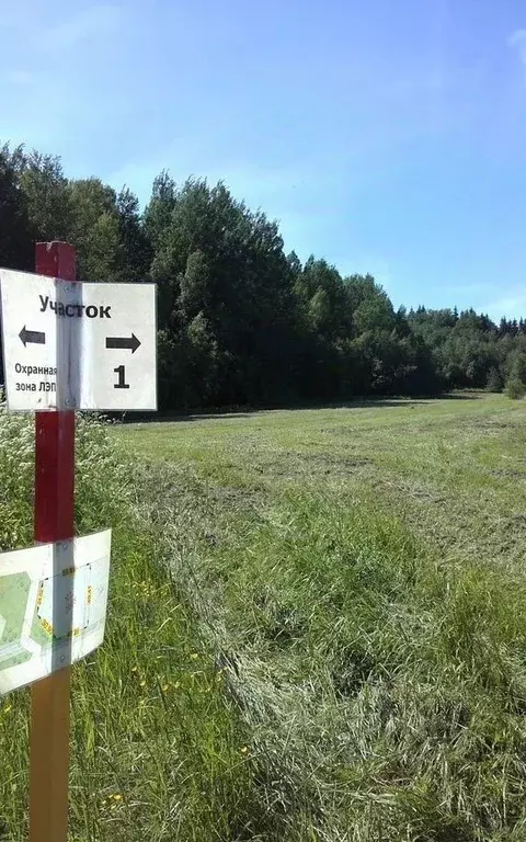 Участок в Ленинградская область, Выборгский район, Рощинское городское ... - Фото 2