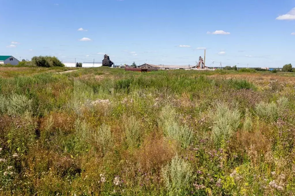 Участок в Тюменская область, Нижнетавдинский район, с. Средние Тарманы ... - Фото 1