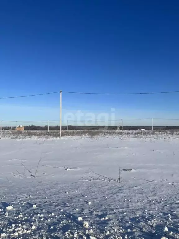 Участок в Тюменская область, Тюменский район, д. Большие Акияры ... - Фото 0