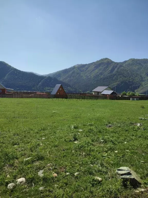 Участок в Алтай, Чемальский район, Элекмонарское с/пос, с. Элекмонар  ... - Фото 2