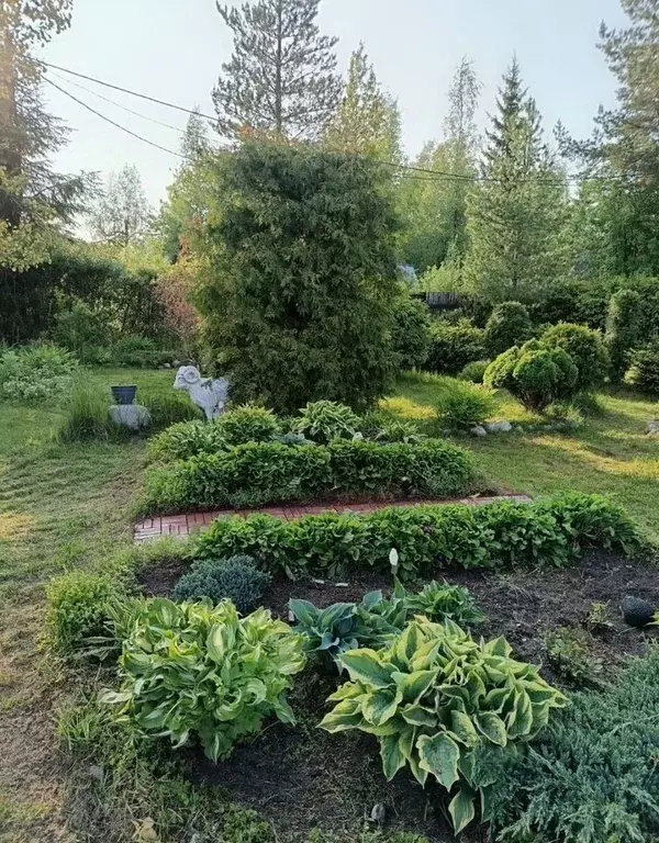 Дом в Ленинградская область, Выборгский район, Рощинское городское ... - Фото 2