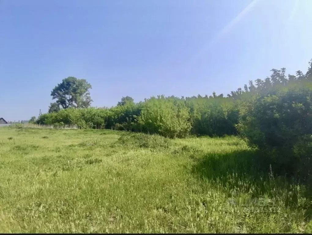 Участок в Башкортостан, Чишминский район, Алкинский сельсовет, д. ... - Фото 2