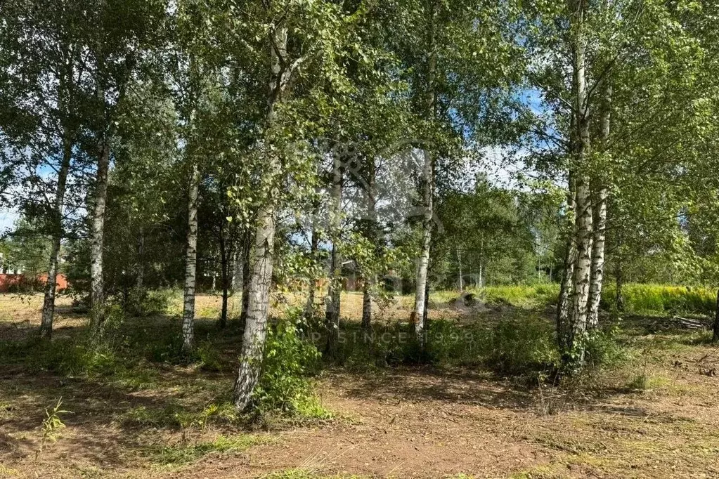 Участок в Московская область, Красногорск городской округ, д. ... - Фото 2