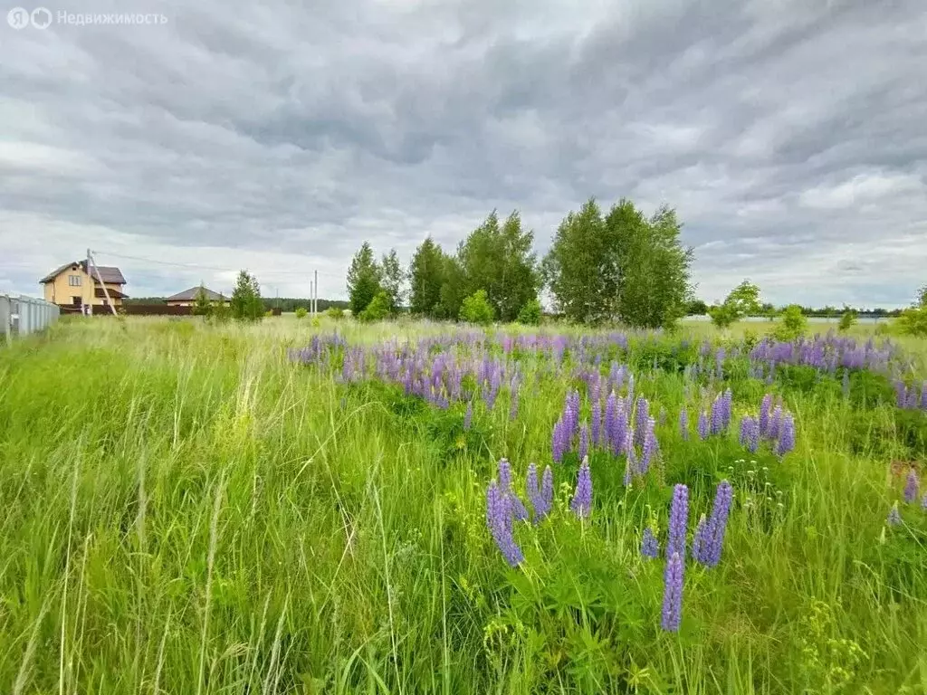 Участок в деревня Ручей, Зареченская улица (22 м) - Фото 1