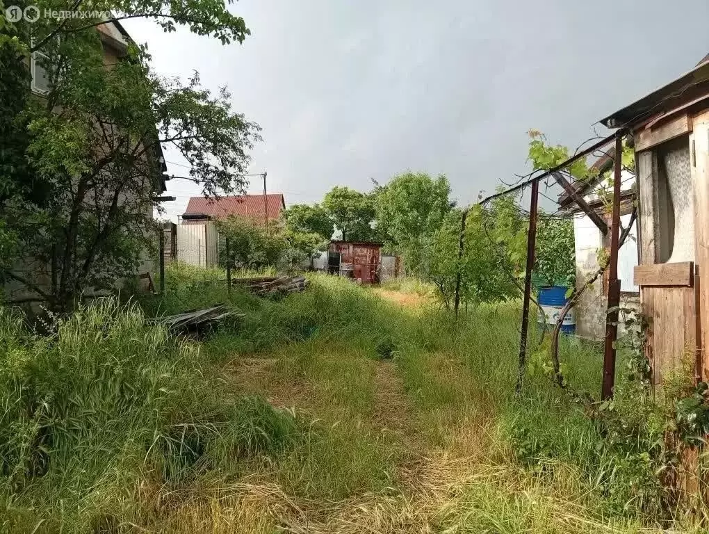 Участок в Новороссийск, СНТ Голубая Даль (5.6 м) - Фото 2