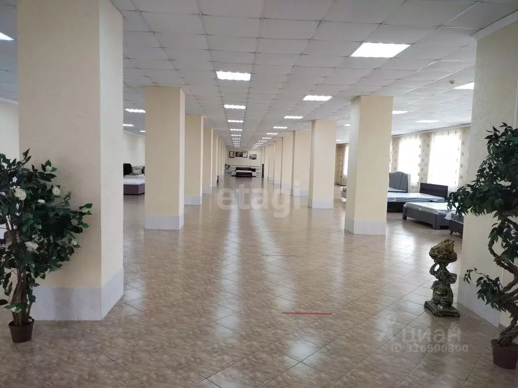 Торговая площадь в Белгородская область, Валуйки Коммунистическая ул., ... - Фото 0