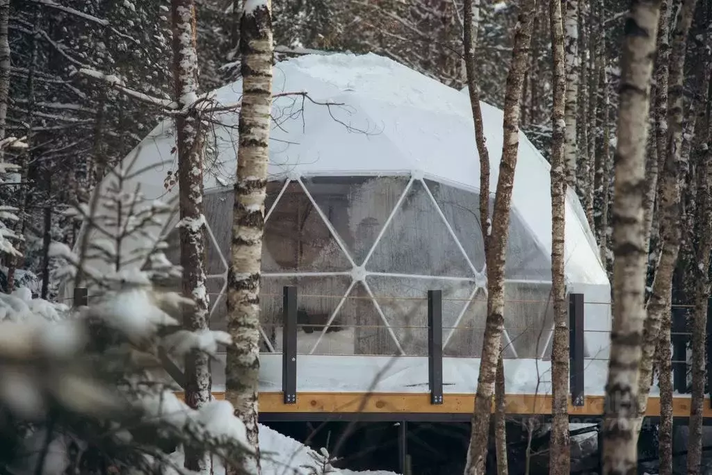 Дом в Калужская область, Дзержинский район, Никольское с/пос, д. ... - Фото 1