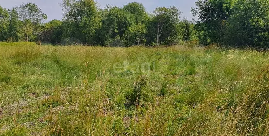 Участок в Пермский край, Краснокамский городской округ, пос. Ласьва ... - Фото 0