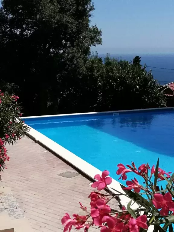 Студия Крым, Алупка ул. Имени Братьев Говыриных, 20 (41.0 м) - Фото 2