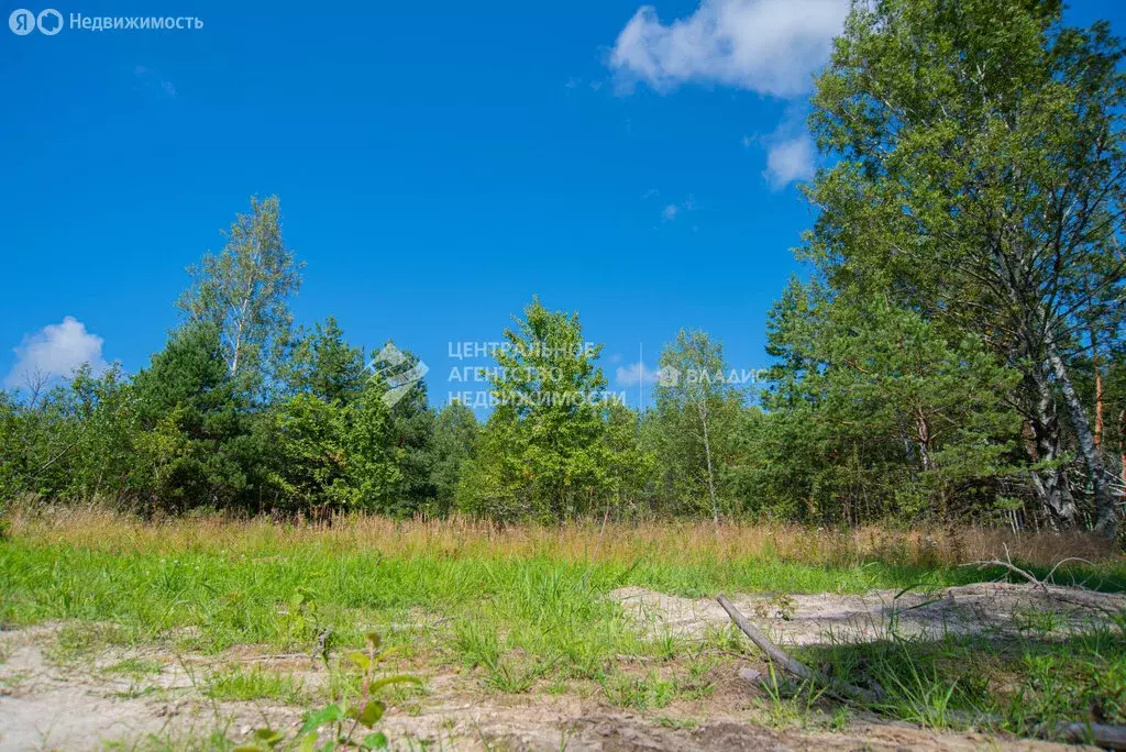 Участок в Рязанская область, Клепиковский муниципальный округ, деревня ... - Фото 1