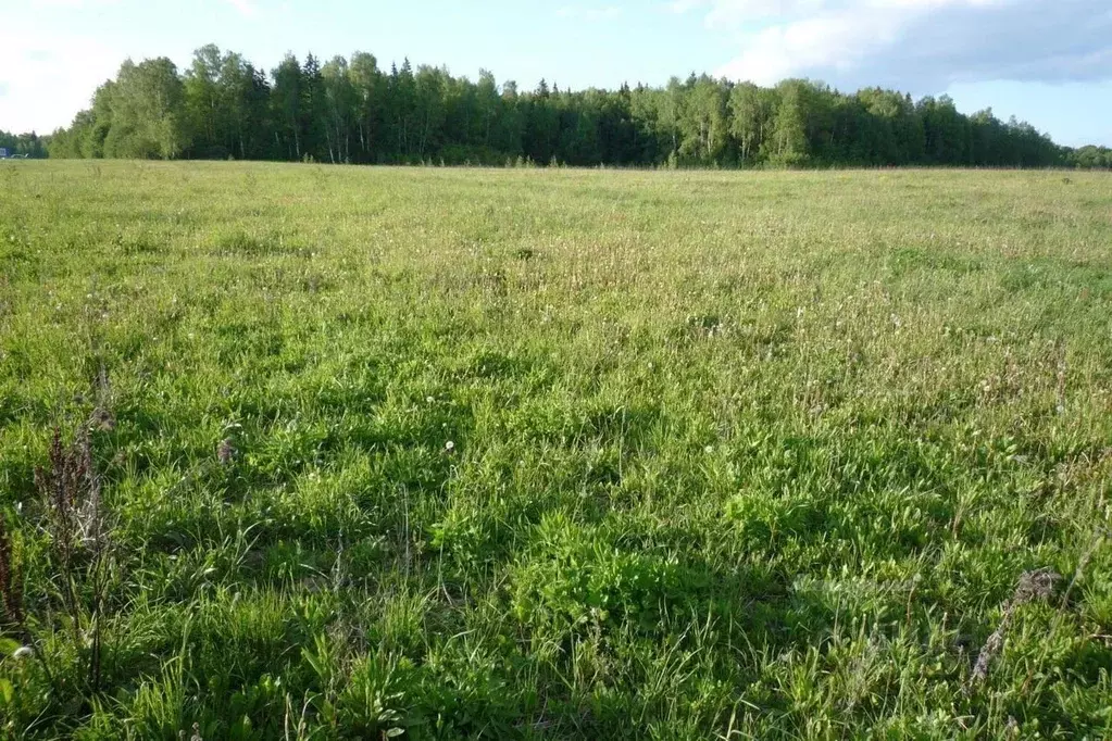 Участок в Свердловская область, Полевской городской округ, д. Раскуиха ... - Фото 1