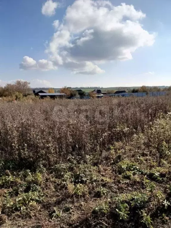 Участок в Мордовия, Саранск Натуралист СНТ,  (10.0 сот.) - Фото 2