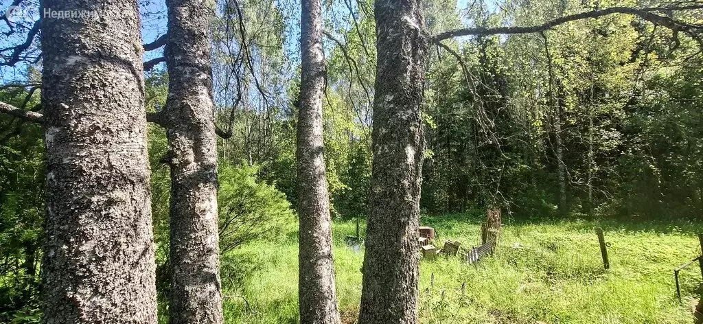 Дом в Псковская область, Печорский муниципальный округ, деревня Качево ... - Фото 1