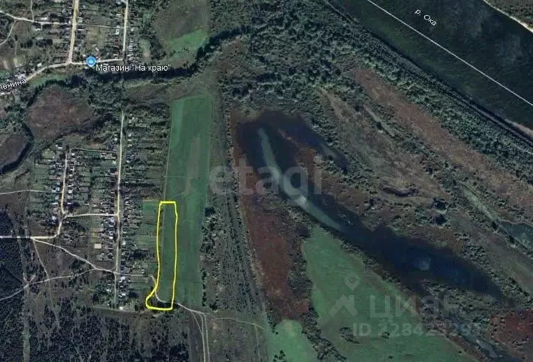 Участок в Владимирская область, Меленковский муниципальный округ, с. ... - Фото 1