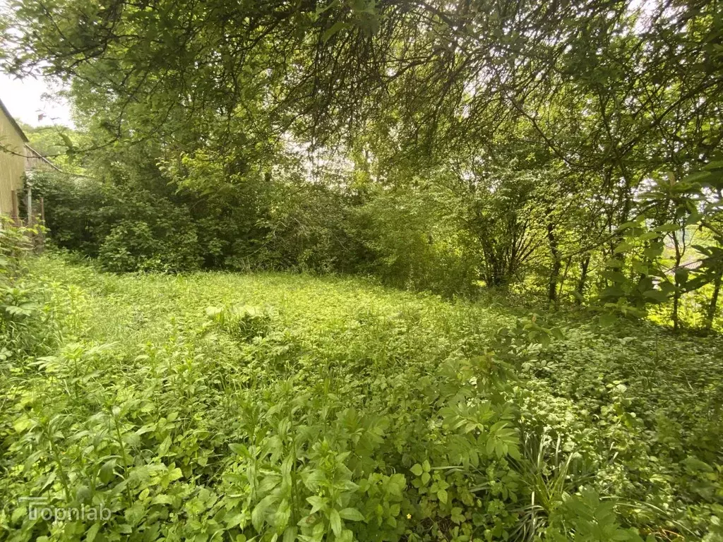 Участок в Краснодарский край, Геленджик муниципальное образование, с. ... - Фото 1