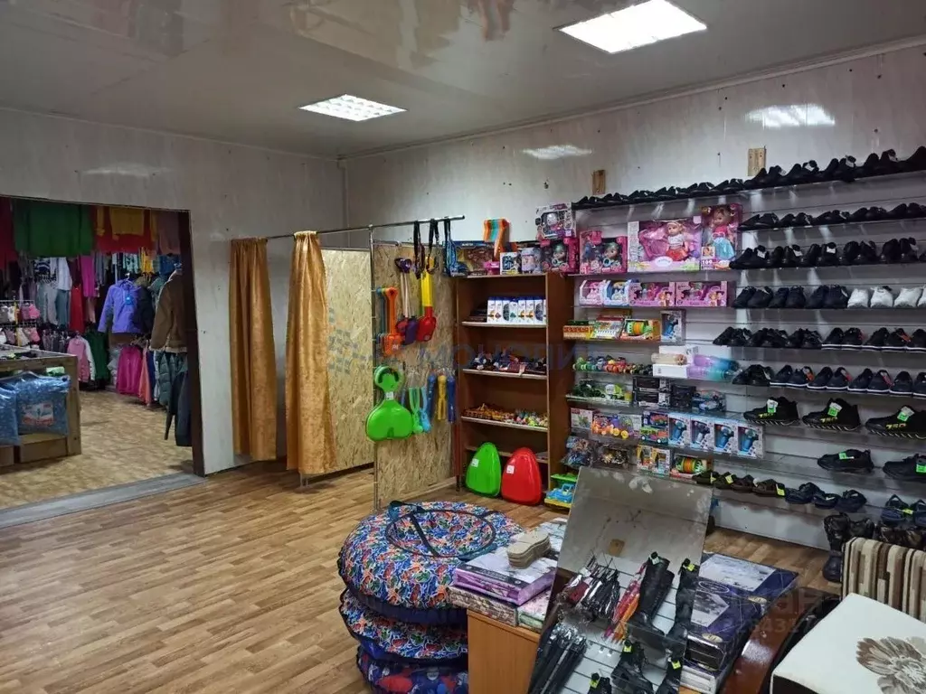 Помещение свободного назначения в Нижегородская область, с. Гагино ул. ... - Фото 1