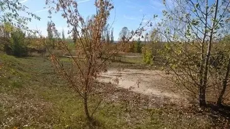Помещение свободного назначения в Ростовская область, Белая Калитва ... - Фото 1