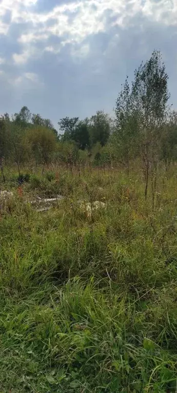 Участок в Томская область, Томск пос. Родионово, ул. Светлая, 2 (16.2 ... - Фото 0