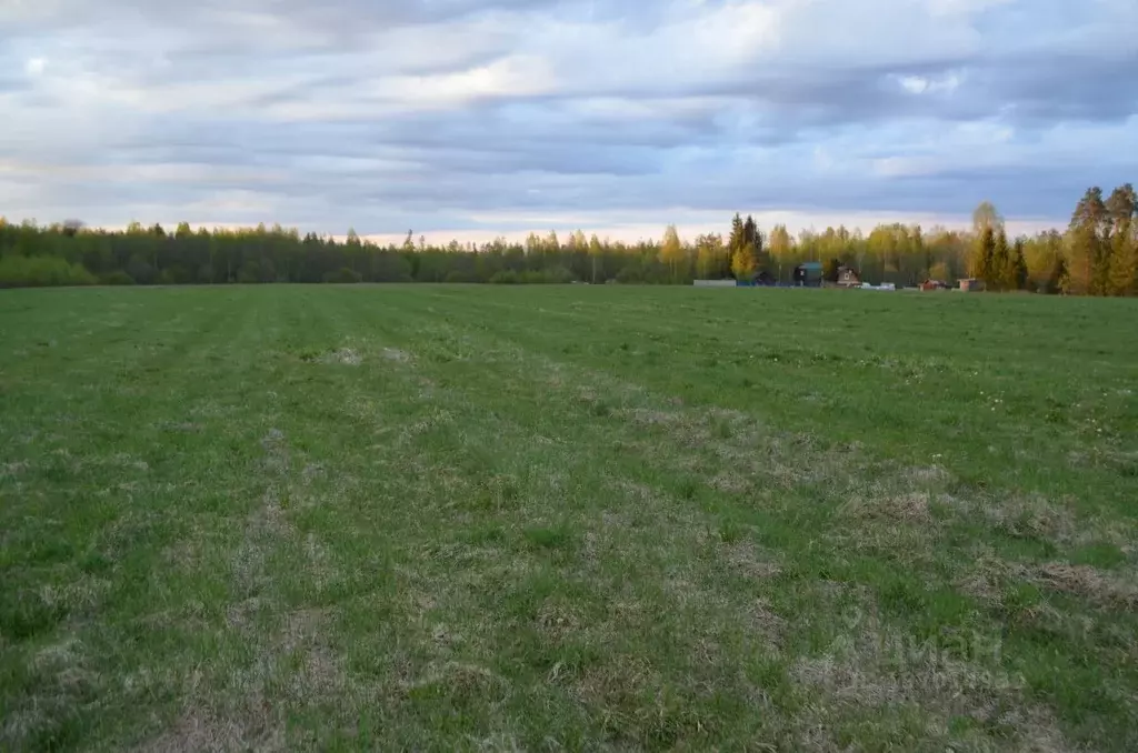 Участок в Новгородская область, Новгородский район, Савинское с/пос, ... - Фото 0