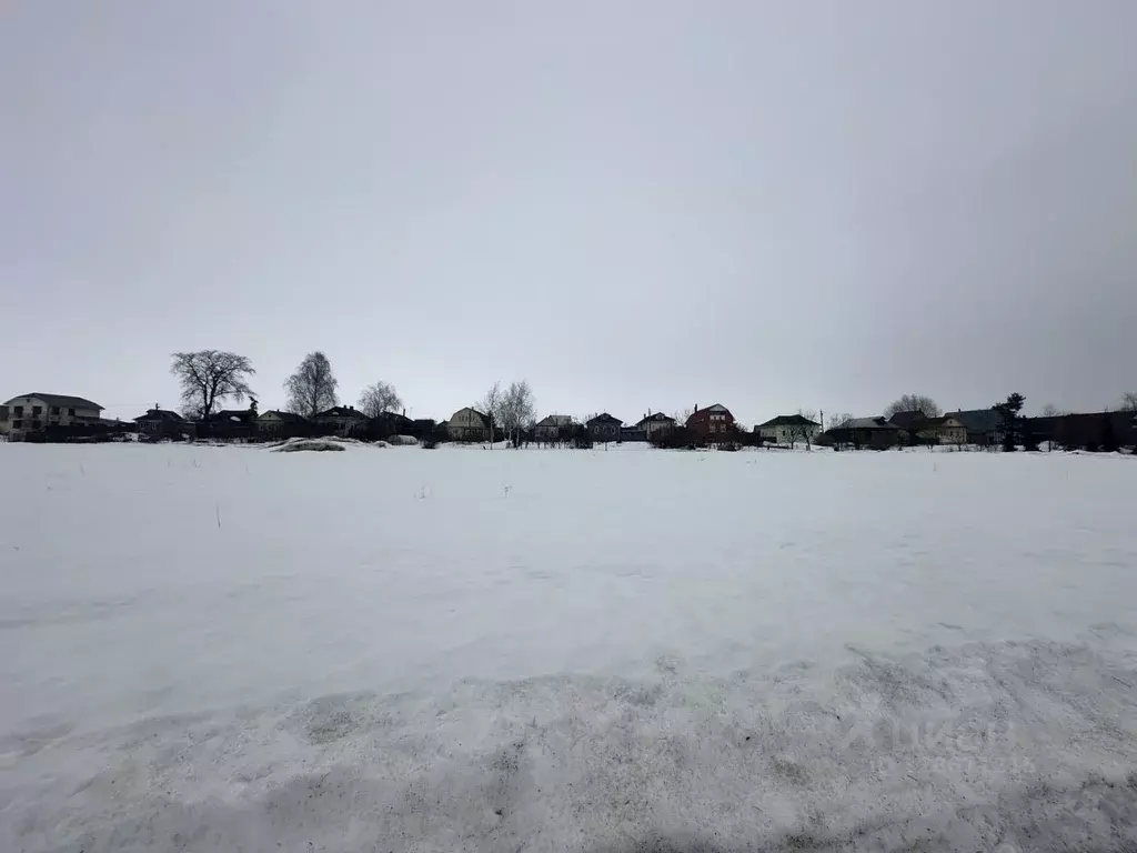 Участок в Московская область, Луховицы муниципальный округ, с. ... - Фото 1
