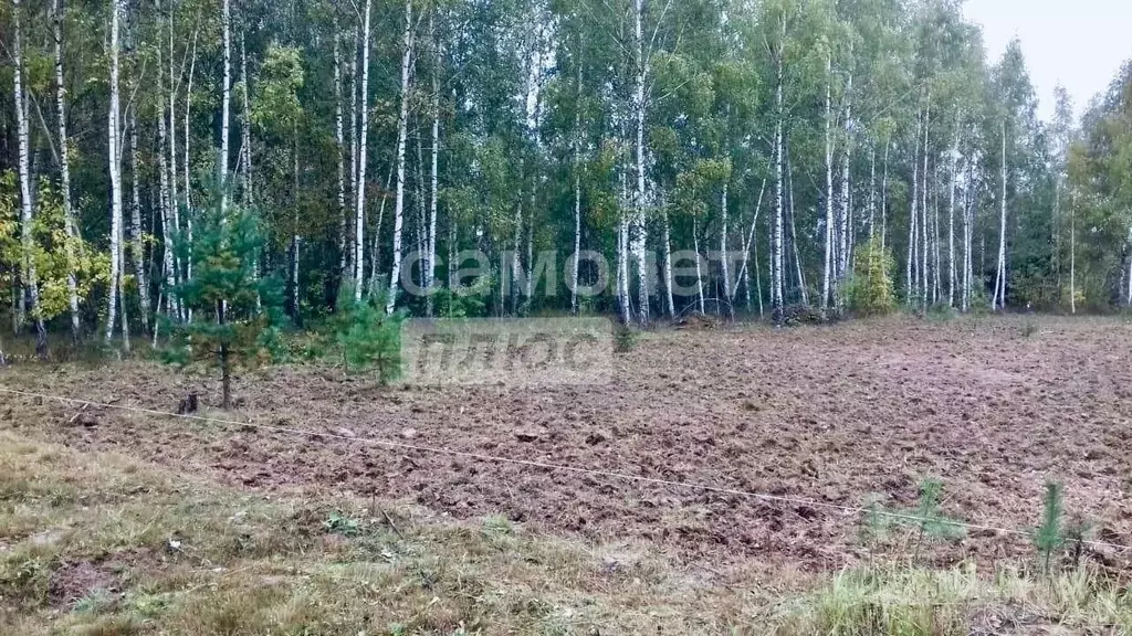 Участок в Тульская область, Заокский район, Страховское с/пос, д. ... - Фото 2