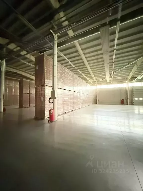 Склад в Калужская область, Боровский муниципальный округ, с. Ворсино ... - Фото 1