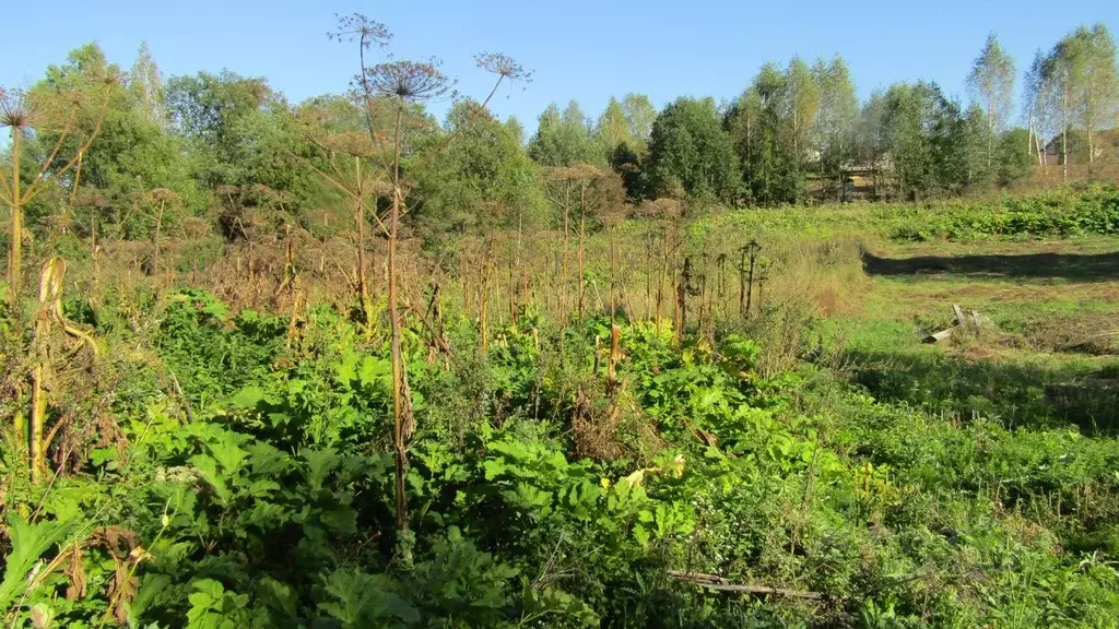 Участок в Московская область, Рузский муниципальный округ, д. Верхнее ... - Фото 2