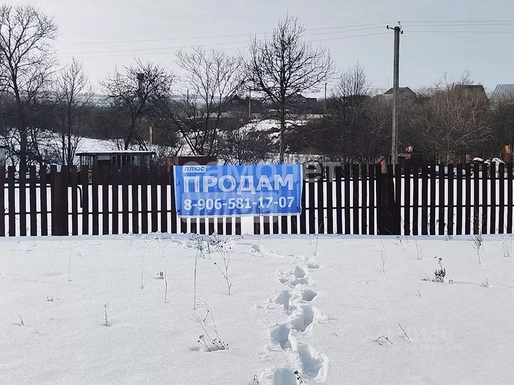 Участок в Воронежская область, Рамонский район, Новоживотинновское ... - Фото 1