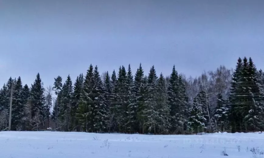 Участок в Московская область, Дмитровский городской округ, пос. ... - Фото 0