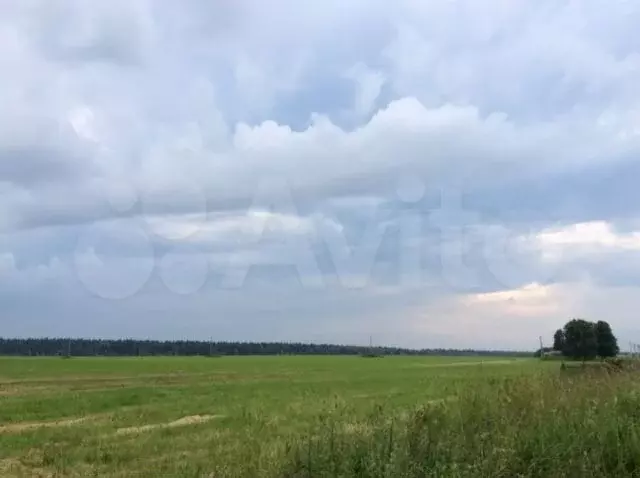 Участок 25 сот. (ИЖС) - Фото 1