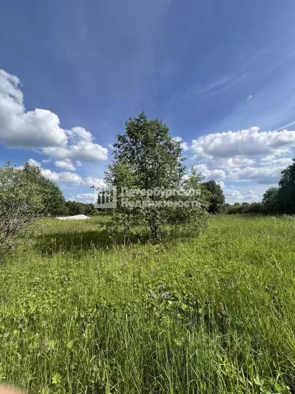 Участок в Ленинградская область, Ломоносовский район, Ропшинское ... - Фото 1