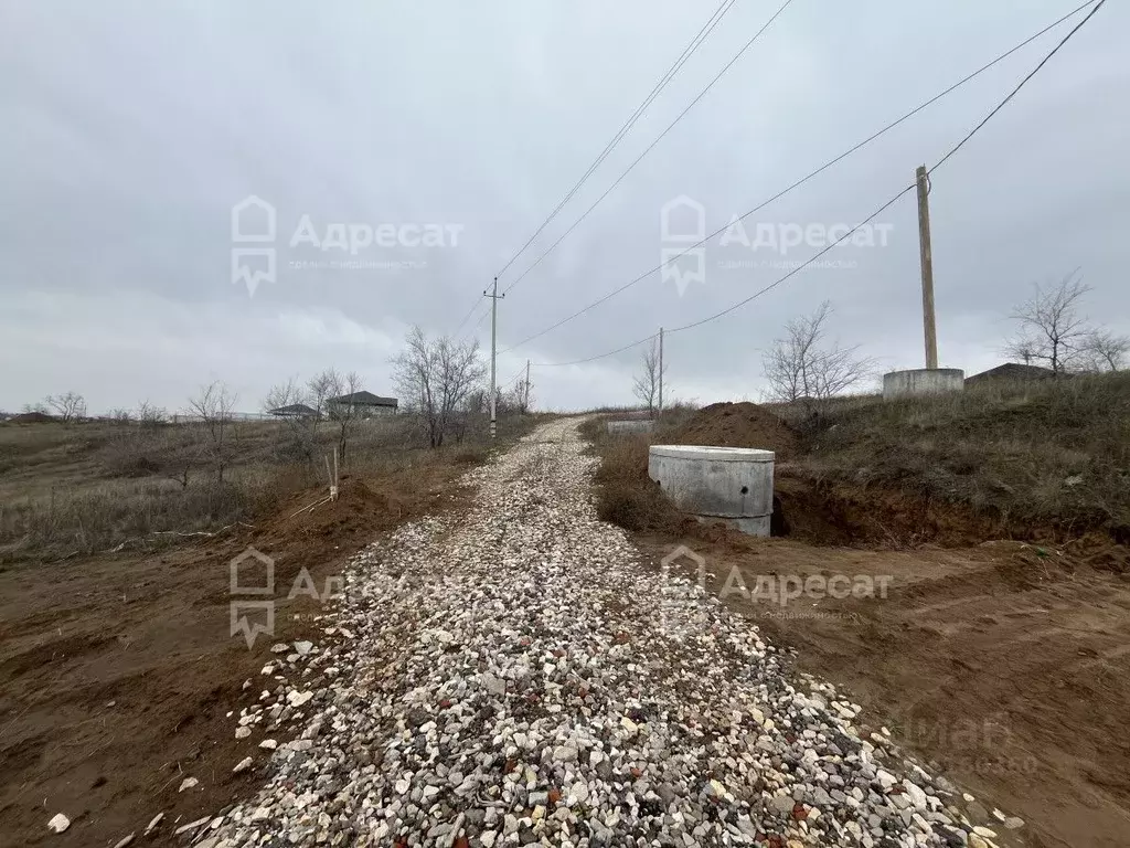 Участок в Волгоградская область, Городищенский район, Царицынское ... - Фото 1