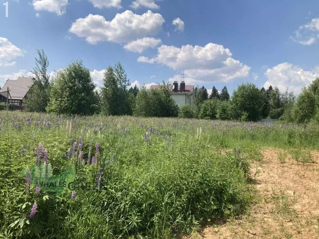 Участок в Московская область, Солнечногорск городской округ, Андреевка ... - Фото 1